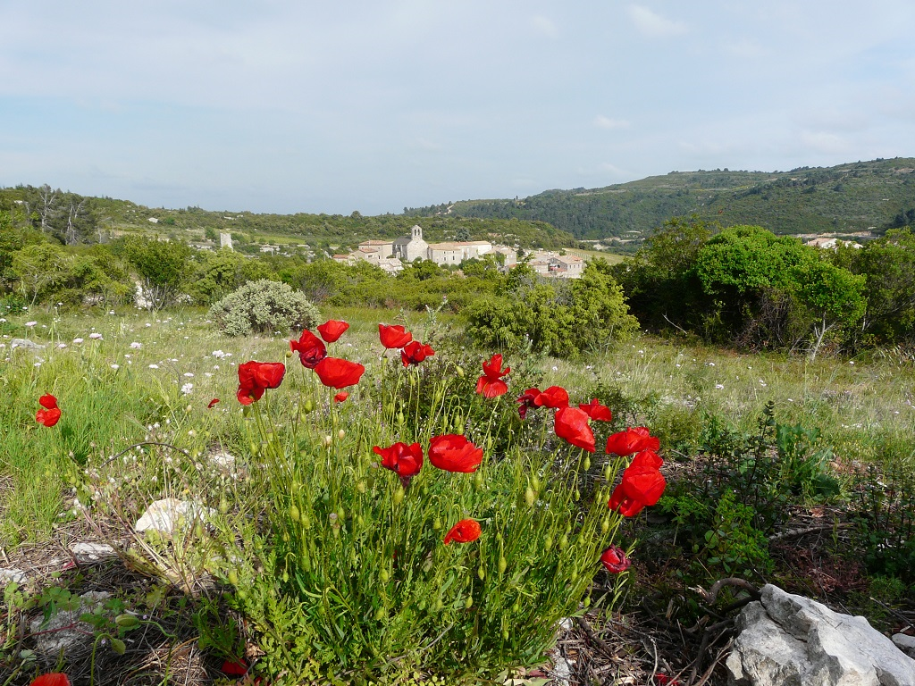 Le village de Minerve