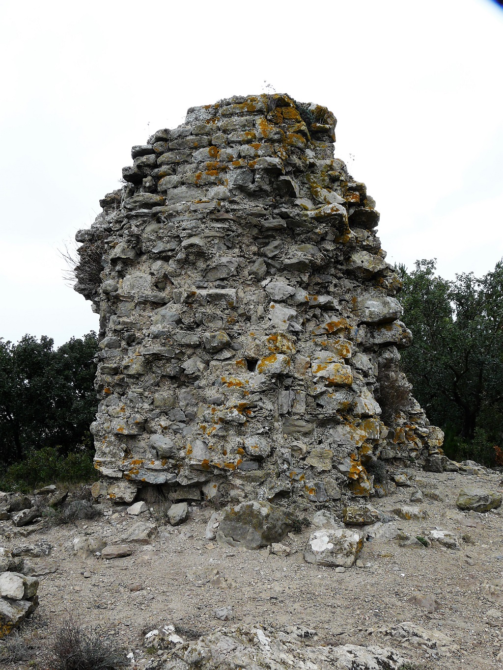Tourril
