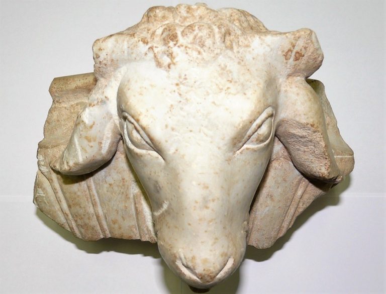tête de caprin (musée archéologique d’Olonzac)