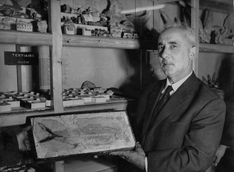 « Musée de Minerve, retour aux origines » : un film pour comprendre la genèse d’une aventure