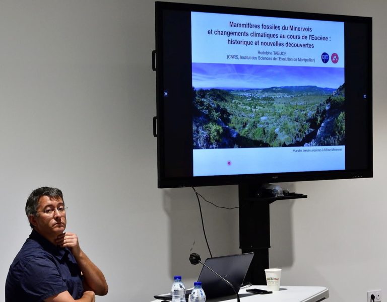 « Mammifères fossiles du Minervois et changements climatiques au cours de l’Eocène » par Rodolphe Tabuce
