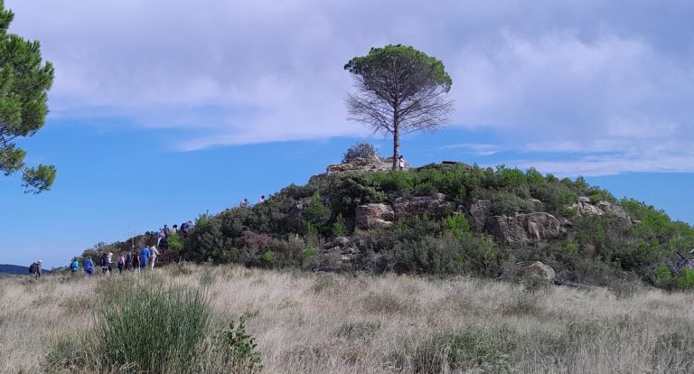 Visite du site de Mailhac 9 octobre 2024